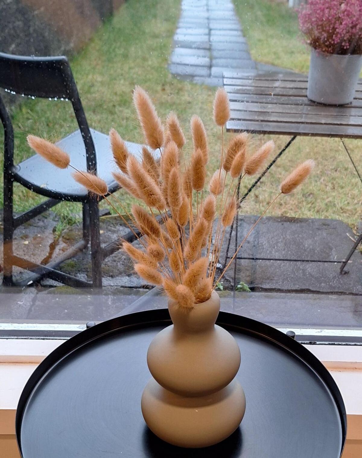 Central Reykjavik - Garden Cottage ภายนอก รูปภาพ
